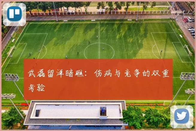 武磊留洋暗礁：伤病与竞争的双重考验