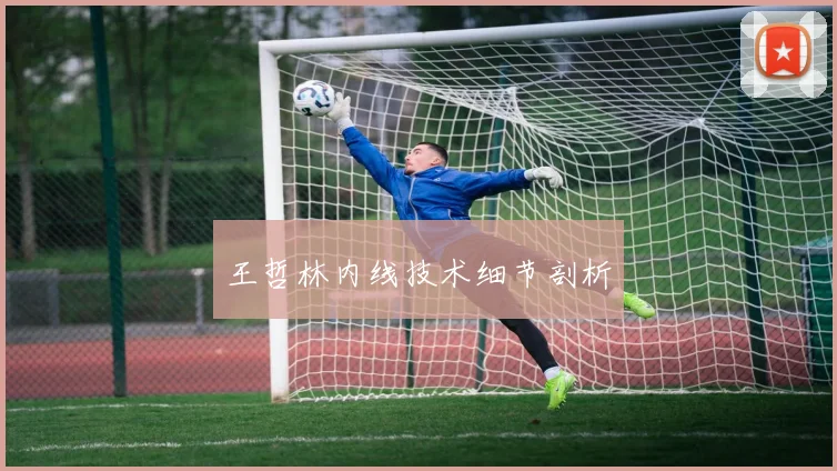 王哲林内线技术细节剖析