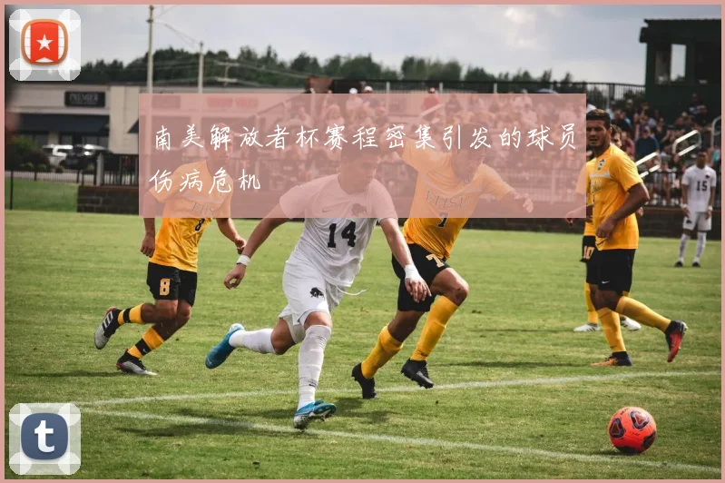 南美解放者杯赛程密集引发的球员伤病危机