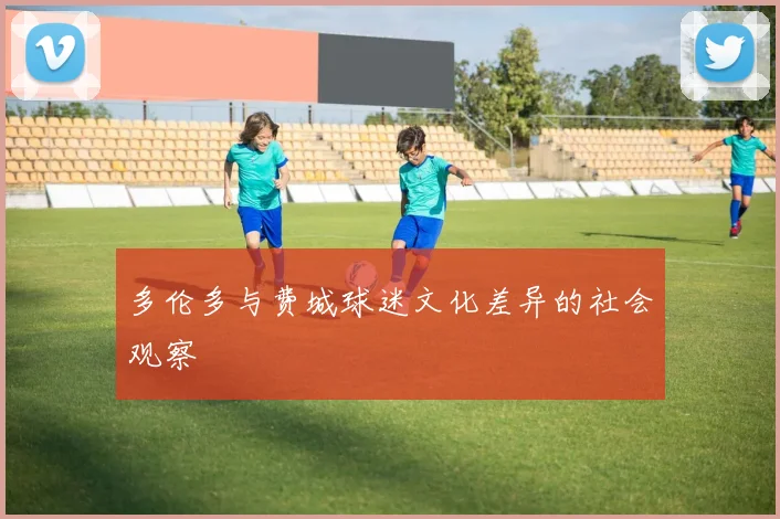 多伦多与费城球迷文化差异的社会观察