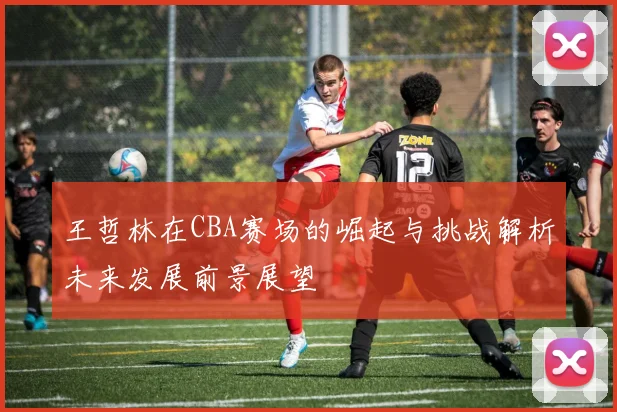 王哲林在CBA赛场的崛起与挑战解析未来发展前景展望