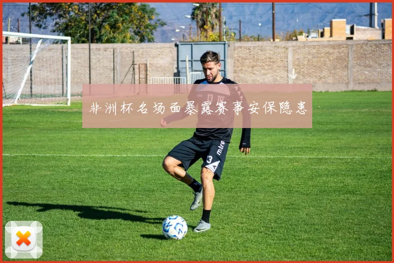 非洲杯名场面暴露赛事安保隐患