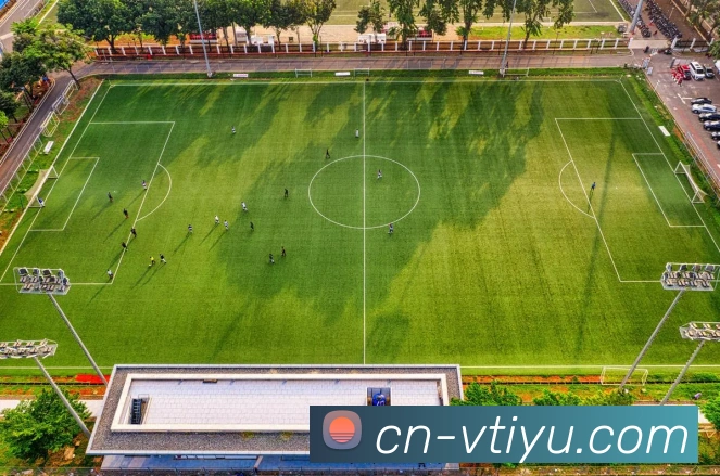 vtiyu平台生态图